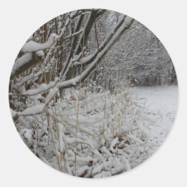 Adesivo Sob uma cobertura da neve