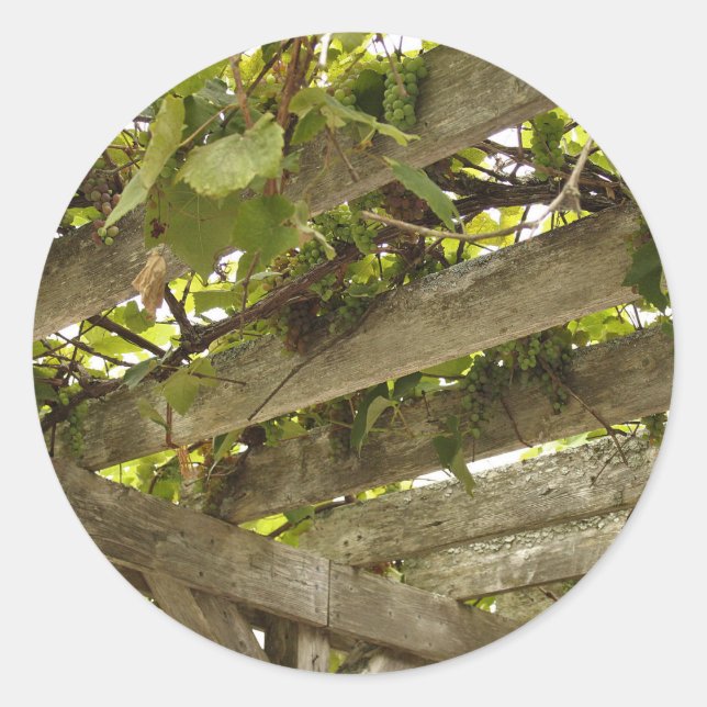 Adesivo Sob uma copia de Uvas (Frente)