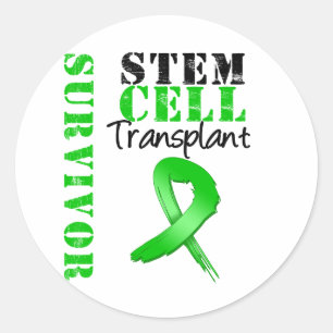 Adesivo Sobrevivente - transplantação da célula estamin