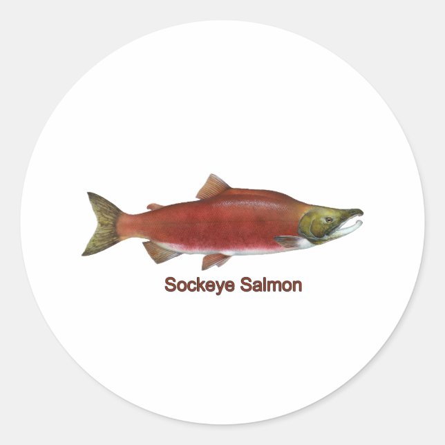 Adesivo Sockeye - Red Salmon (sob título) (Frente)