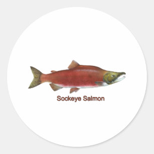 Adesivo Sockeye - Red Salmon (sob título)
