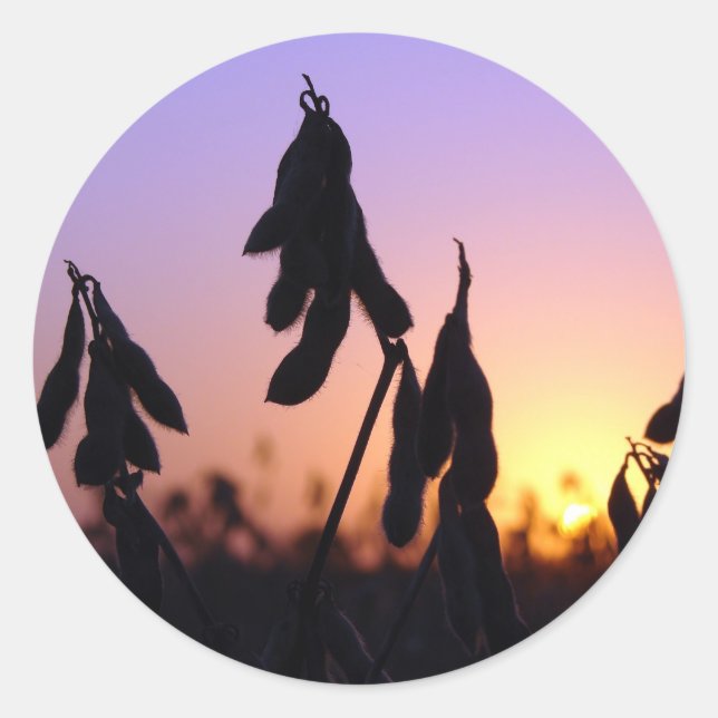 Adesivo Soja no Sunset (Frente)