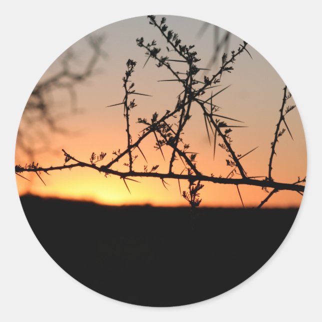 Adesivo Sol africano com silhueta espinhal de acácia (Frente)