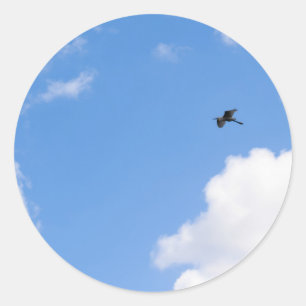 Adesivo Solitary Bird Soaring Through Bright Blue Sky with