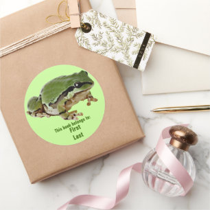 Adesivo Solteiro Verde Sapo Em Repouso Fotografia Personal