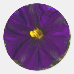 Adesivo Sombra da meia-noite