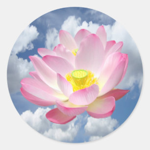 Adesivo Somente uma flor de Lotus + seus texto & ideias