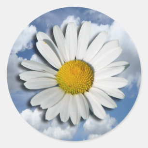 Adesivo Somente uma flor do Marguerite + seus texto &