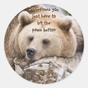 Adesivo "Sometimes you  just have to hit the paws button"