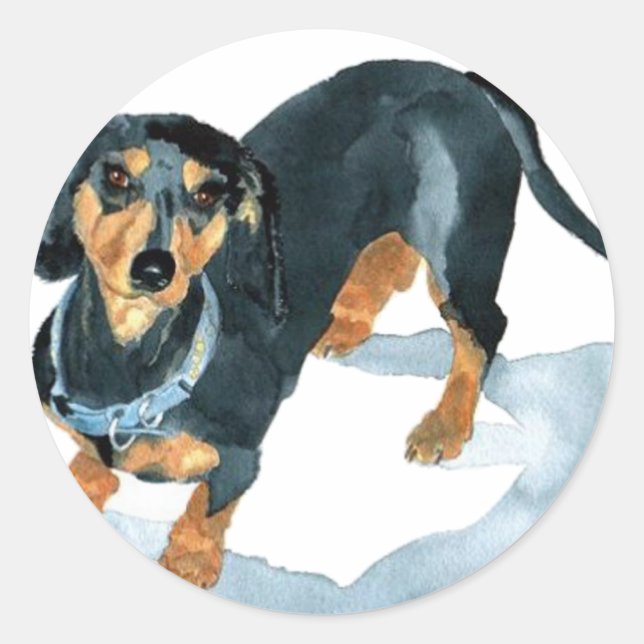 Adesivo Sophie, o Dachshund Stickers (Frente)