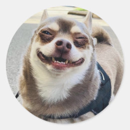 Adesivo Sorria Grande Huey