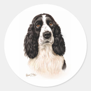 Adesivo Spaniel de Springer inglês