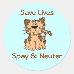 Adesivo Spay & neutralize