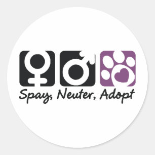 Adesivo Spay, neutralize, adote