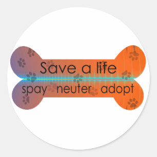 Adesivo spay o neauter adotam