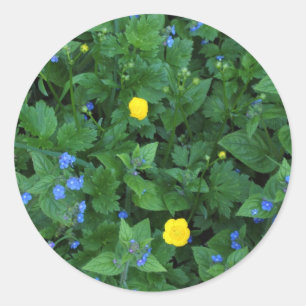 Adesivo Speedwell e Buttercups