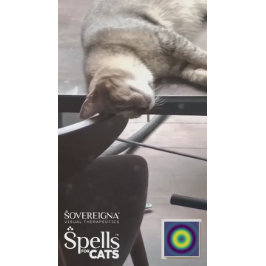 Adesivo Spells for Cats: Calm Kitty (Calming)
