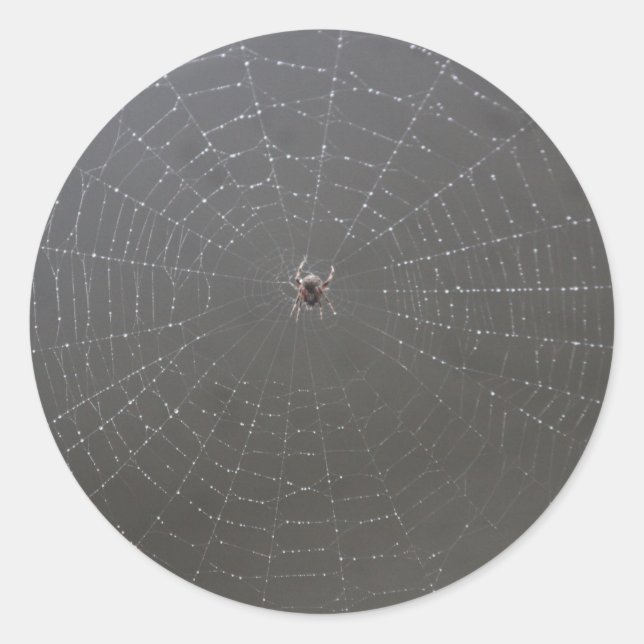 Adesivo Spider Web Sticker (Frente)