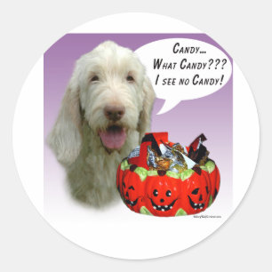 Adesivo Spinone Italiano Halloween Candy