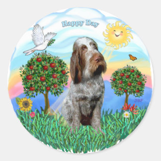 Adesivo Spinone Italiano (ruão 11)