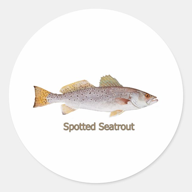Adesivo Spotted Seatrout (com título) (Frente)