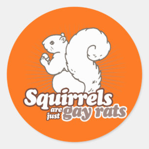 ADESIVO SQUIRRELOS SÃO APENAS RATOS GAY