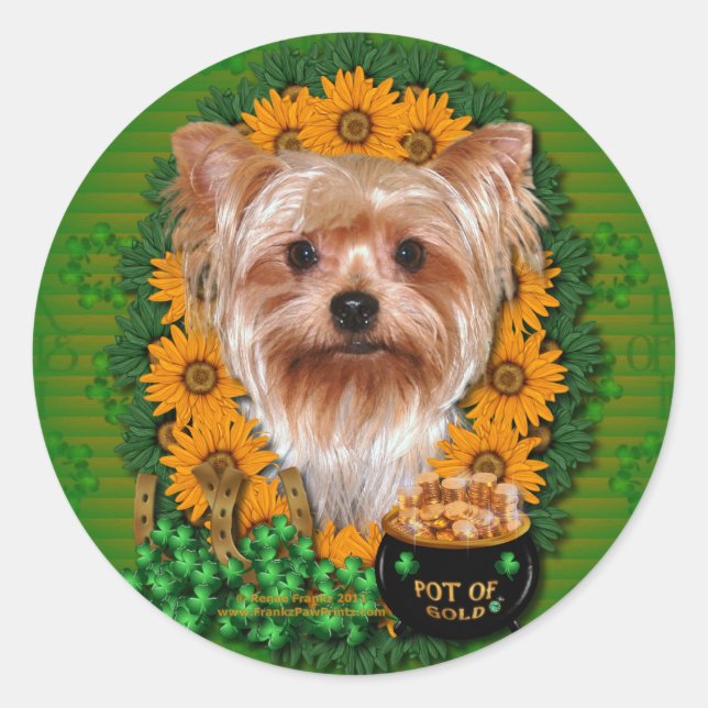 Adesivo St Patricks - Pote do Dourado - Yorkshire Terrier (Frente)