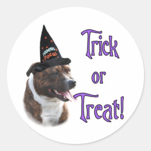 Adesivo Staffordshire Bull Terrier Trick