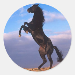 Adesivo Stallion Negro
