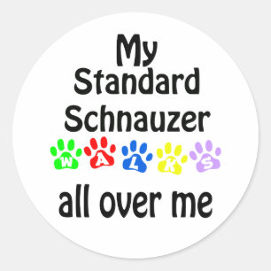 Adesivo Standard Schnauzer Walks Design