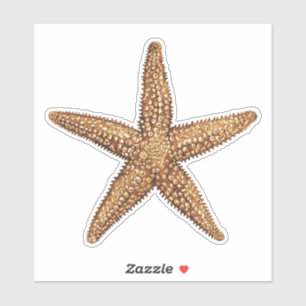 Adesivo Starfish - Estrela do Mar