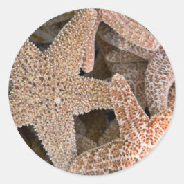 Adesivo Starfish por todo o mundo