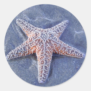 Adesivo Starfish Sticker