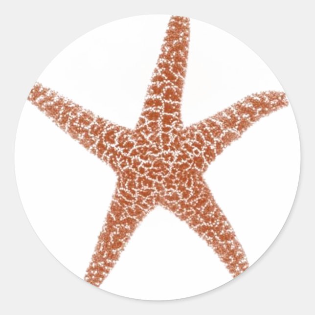 Adesivo Starfish Sticker (Frente)