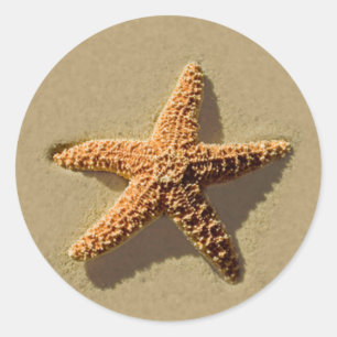 Adesivo Starfish Tropical Beach Wedding Envelope Seal