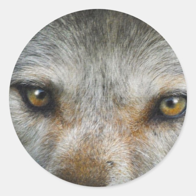 Adesivo Staring Cinza Wolf Eyes Wildlife Art (Frente)