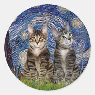 Adesivo Starry Night - Dois Gatos De Tigre Para Comprimido