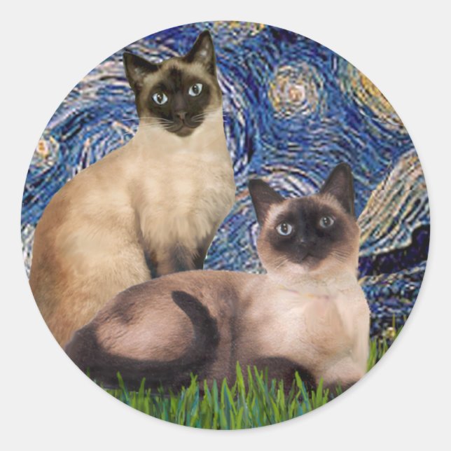 Adesivo Starry Night - Dois Gatos Siameses (Choc Pt) (Frente)