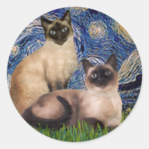 Adesivo Starry Night - Dois Gatos Siameses (Choc Pt)