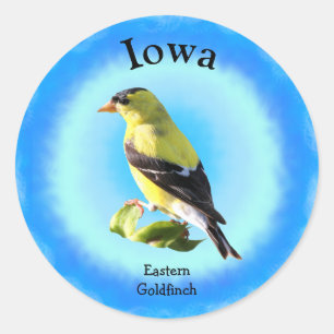 Adesivo State Bird de Iowa