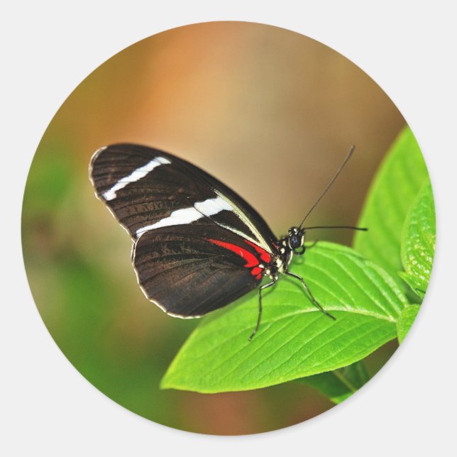 Adesivo Sticker (Frente)