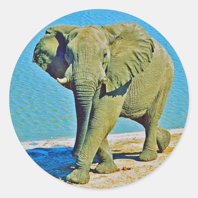 Adesivo Sticker (Frente)