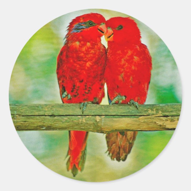 Adesivo Sticker (Frente)