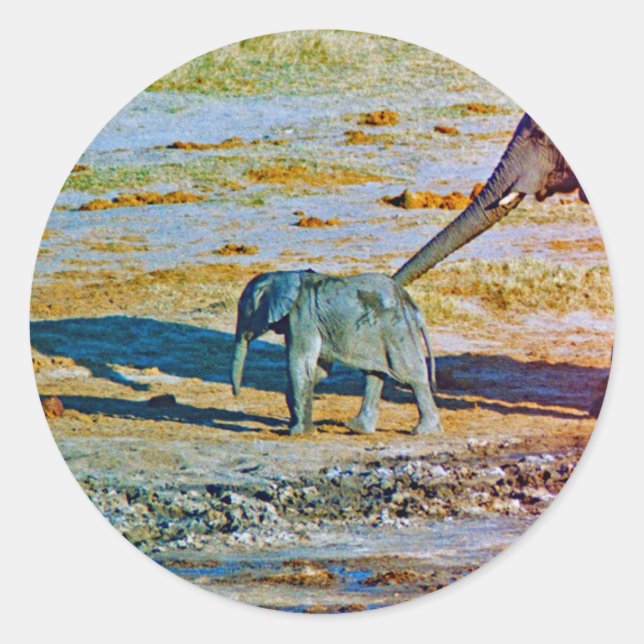 Adesivo Sticker (Frente)