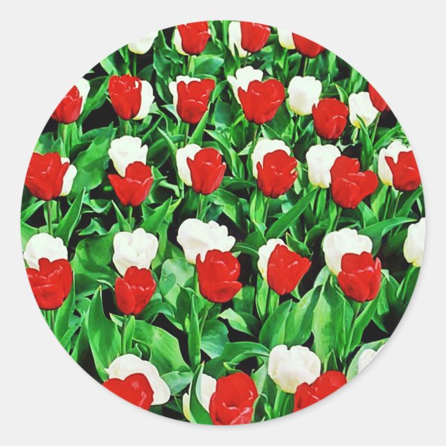 Adesivo Sticker (Frente)