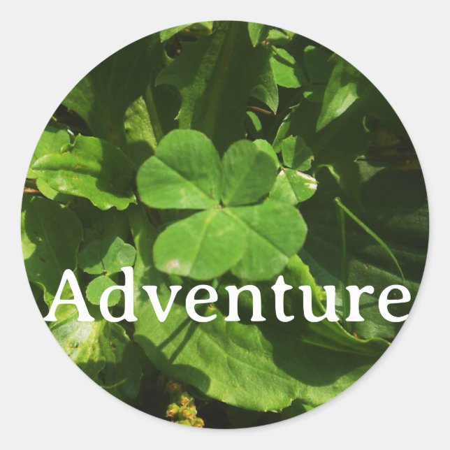 Adesivo Sticker Adventure (Frente)