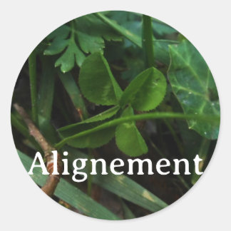 Adesivo Sticker 'Alignement'