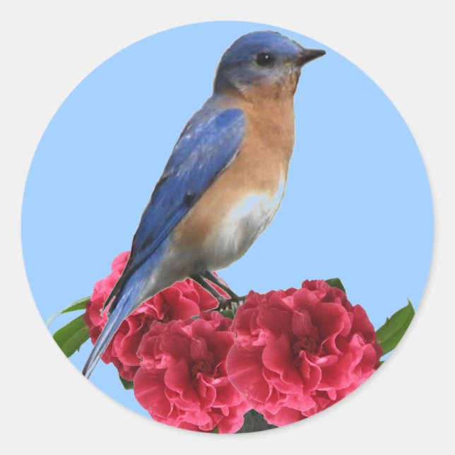 Adesivo Sticker da Camellia de Bluebird Oriental (Frente)