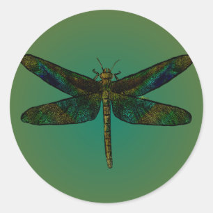 Adesivo Sticker de Frota de setembro Wing Dusk