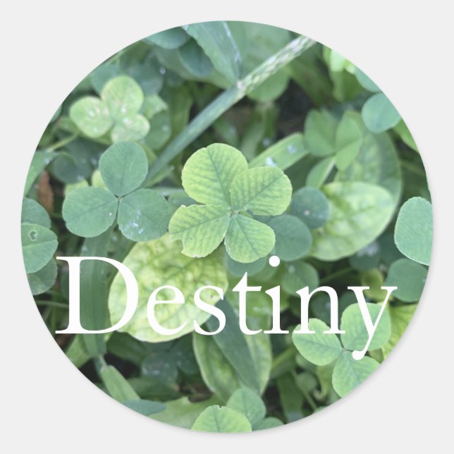 Adesivo Sticker Destiny  (Frente)